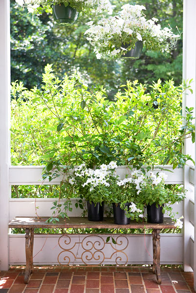 Liven Your Home for Spring