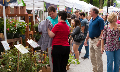 TD_Saturday_Market_(1)